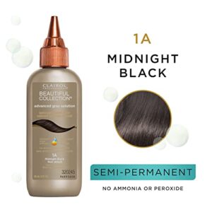 Clairol Professional Beautiful Advanced Gray Solutions 1a Midnight Black, 3 oz