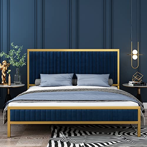 HIFIT Bed Frame Queen Size, Queen Bed Frame with Headboard, Heavy Duty Metal Foundation, Upholstered Bed Frame with Velvet Tufted Headboard, Wood Slat Support, No Box Spring Needed, Gold & Navy Blue