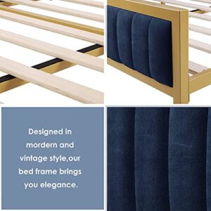 HIFIT Bed Frame Queen Size, Queen Bed Frame with Headboard, Heavy Duty Metal Foundation, Upholstered Bed Frame with Velvet Tufted Headboard, Wood Slat Support, No Box Spring Needed, Gold & Navy Blue