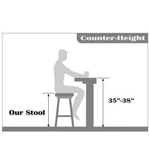 2xhome - Clear - 25" Seat Height DSW Molded Plastic Bar Stool Modern Barstool Counter Stools with Back and armless Natural Legs Wood Eiffel Legs Dowel-Leg