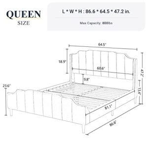 Allewie Queen Size Velvet Bed Frame Upholstered Platform Bed with Vertical Headboard and Footboard, Solid Wood Leg and Strong Slats Support, No Box Spring Needed, Easy Assembly, Green