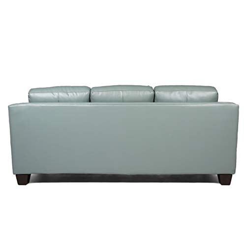 MAKLAINE Tufted Transitional Leather Sofa in Spa Green Finish