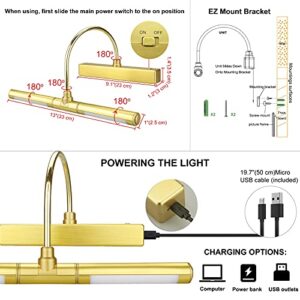 HONGUT Wireless Painting Lights with Remote, Rechargeable Picture Light，28 LEDs Rotatable Light Head with 12 Color Changing, Dimmable Display Light with Timer for Frame, Portrait, Art, Dartboard-Gold