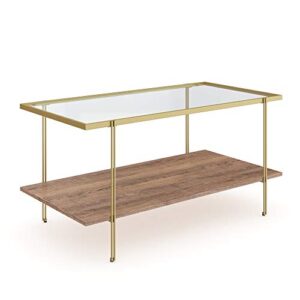 Nathan James Asher Mid-Century Rectangle Coffee Table Glass Top and Rustic Oak Storage Shelf with Sleek Brass Metal Legs, Gold