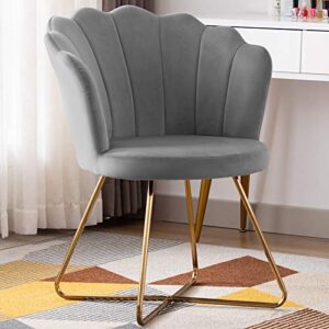duhome velvet accent chair living room chair，corner chair reception chair for bedroom living room, shell shaped living room chair with golden metal legs, grey