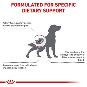 Royal Canin Veterinary Diet Canine Renal Support Early Consult Dry Dog Food, 5.5 lbs.