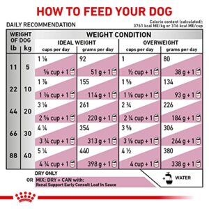 Royal Canin Veterinary Diet Canine Renal Support Early Consult Dry Dog Food, 5.5 lbs.