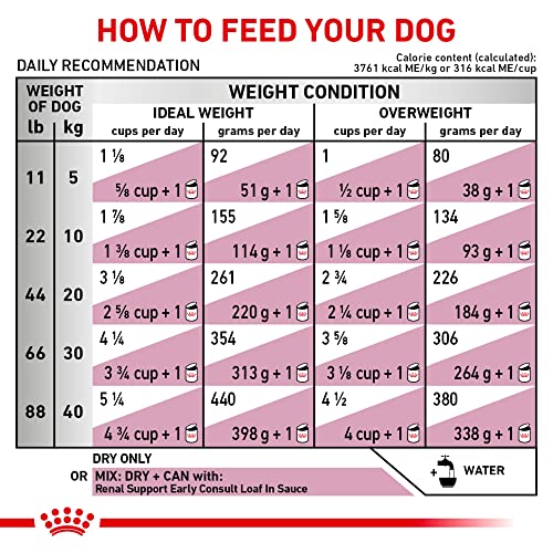 Royal Canin Veterinary Diet Canine Renal Support Early Consult Dry Dog Food, 5.5 lbs.