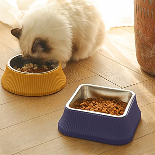 pet Dog Supplies Double Square Round Pet Bowl,pet Food and Water Feeder,Made of Stainless Steel,Dog and Cat Feeding Accessories Kit Water Bottle (Size : Double Bowl Blue)