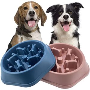 FUUIE Bowls for Food and Water Pet Dog Bowl Dog Slow Feeder Bowl Puppy Cat Slow Eating Dish Bowl Anti-Gulping Food Plate Feeding Dog Cat Food Bowl Pet Supplies (Color : Blue)