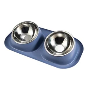 fuuie bowls for food and water angled double bowl stainless steel pet bowl (color : blue)