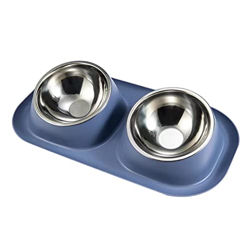 FUUIE Bowls for Food and Water Angled Double Bowl Stainless Steel Pet Bowl (Color : Blue)