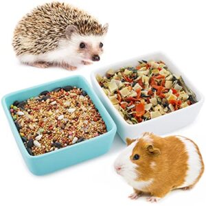 2 pack pet ceramic food bowl and water dish feeder for guinea pig hedgehog squirrel small animals (blue and white)