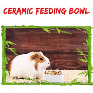 2 Pack Pet Ceramic Food Bowl and Water Dish Feeder for Guinea Pig Hedgehog Squirrel Small Animals (Blue and White)