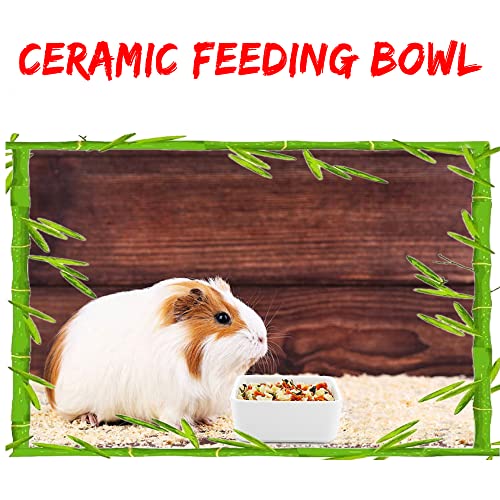 2 Pack Pet Ceramic Food Bowl and Water Dish Feeder for Guinea Pig Hedgehog Squirrel Small Animals (Blue and White)