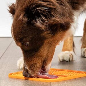 FUUIE Bowls for Food and Water Pet Bowl/Pet Universal/Silicone/Blue Orange/Choke Prevention Slow Food Dog Licking Plate (Color : A)