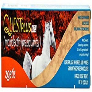 zoetis equine quest plus gel dewormer to control both encysted small strongyles and tapeworms in a single dose!