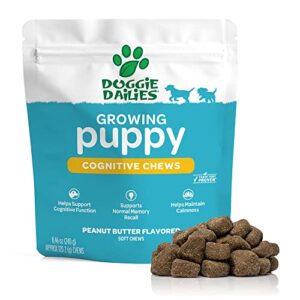 doggie dailies cognitive puppy chews | puppy vitamins with dha, selenium, organic ashwagandha & antioxidants to support brain health, nervous system function & promote calmness | 120 soft chews