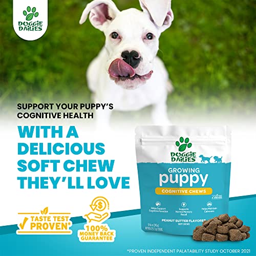 Doggie Dailies Cognitive Puppy Chews | Puppy Vitamins with DHA, Selenium, Organic Ashwagandha & Antioxidants to Support Brain Health, Nervous System Function & Promote Calmness | 120 Soft Chews