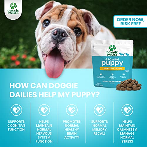 Doggie Dailies Cognitive Puppy Chews | Puppy Vitamins with DHA, Selenium, Organic Ashwagandha & Antioxidants to Support Brain Health, Nervous System Function & Promote Calmness | 120 Soft Chews