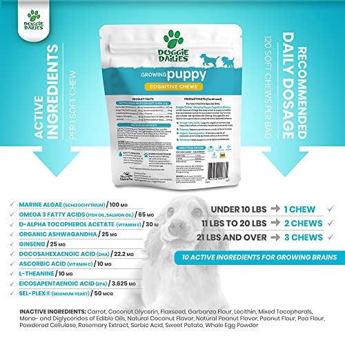 Doggie Dailies Cognitive Puppy Chews | Puppy Vitamins with DHA, Selenium, Organic Ashwagandha & Antioxidants to Support Brain Health, Nervous System Function & Promote Calmness | 120 Soft Chews