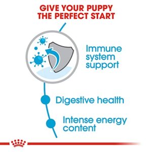 Royal Canin Small Puppy Dry Dog Food, 13 lb bag