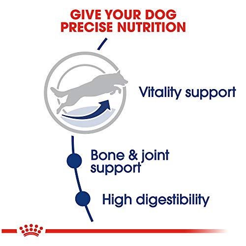 Royal Canin Large Adult 5+ Dry Dog Food for Older Dogs, 30 lb bag