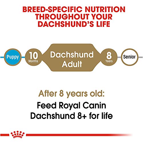 Royal Canin Dachshund Adult Breed Specific Dry Dog Food, 10 lb bag