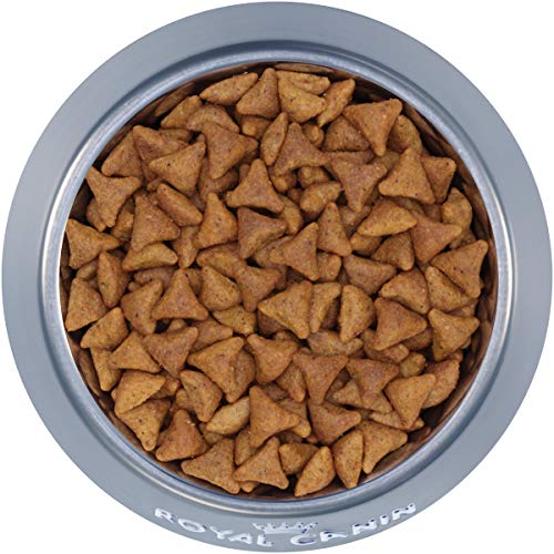 Royal Canin Indoor Adult Dry Cat Food, 15 lb bag