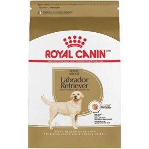 royal canin labrador retriever adult dry dog food, 30 lb bag