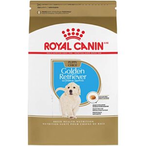 royal canin breed health nutrition golden retriever puppy dry dog food, 30 lb