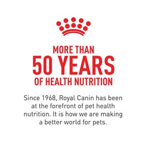 Royal Canin Canine Health Nutrition Adult Beauty Loaf in Sauce Canned Dog Food, 5.2 oz Can (Case of 24)