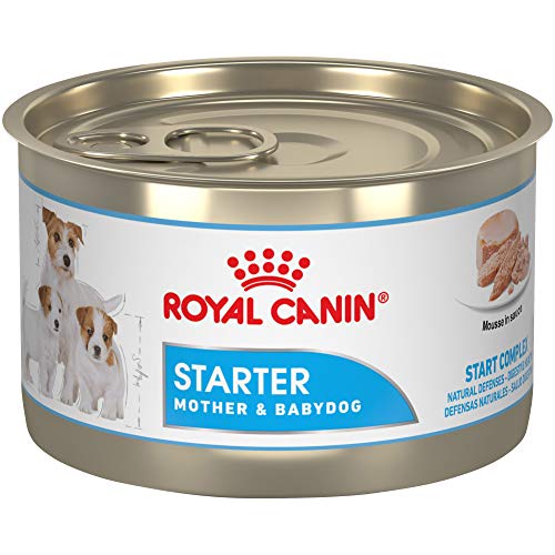 Royal Canin Size Health Nutrition Starter Mother & Babydog Mousse in Sauce Wet Dog Food, 5.8 oz Can (Case of 24)