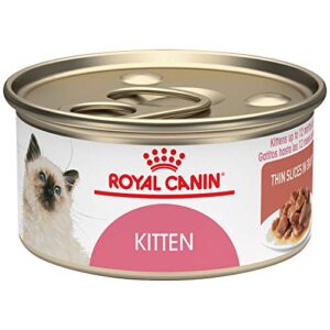 royal canin feline health nutrition kitten thin slices in gravy canned cat food, 3 oz can, pack of 24