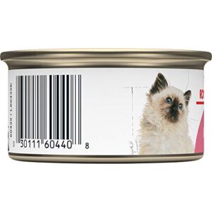 Royal Canin Feline Health Nutrition Kitten Thin Slices in Gravy Canned Cat Food, 3 Oz Can, Pack of 24