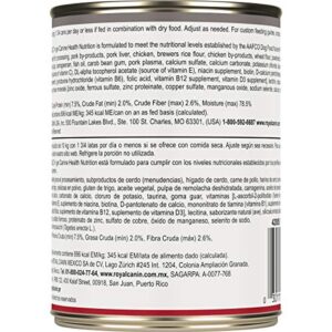 Royal Canin Canine Health Nutrition, Mature Adult In Gel Canned Dog Food, 13.5 oz Can (Case of 12)