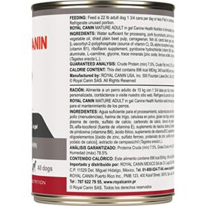 Royal Canin Canine Health Nutrition, Mature Adult In Gel Canned Dog Food, 13.5 oz Can (Case of 12)