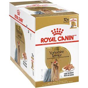 royal canin yorkshire terrier adult breed specific wet dog food, 3 oz 12-pack