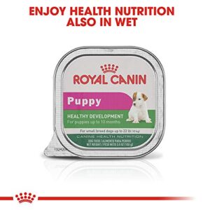 Royal Canin Size Health Nutrition Small Starter Mother And Babydog Dry Dog Food, 2 Lb