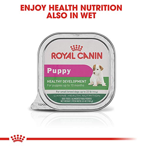 Royal Canin Size Health Nutrition Small Starter Mother And Babydog Dry Dog Food, 2 Lb