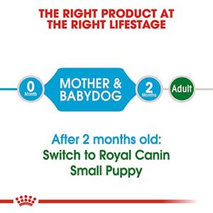 Royal Canin Size Health Nutrition Small Starter Mother And Babydog Dry Dog Food, 2 Lb