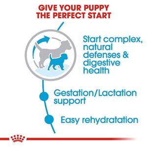 Royal Canin Size Health Nutrition Small Starter Mother And Babydog Dry Dog Food, 2 Lb