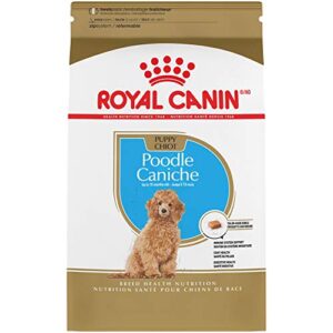royal canin breed health nutrition poodle puppy dry dog food, 2.5 lb