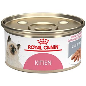 royal canin feline health nutrition kitten loaf in sauce canned cat food, 3 ounce (pack of 24)