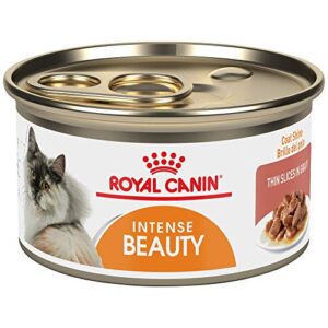 royal canin feline care nutrition intense beauty thin slices in gravy canned cat food, 3 oz cans 24-count