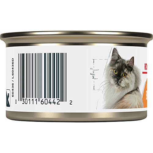 Royal Canin Feline Care Nutrition Intense Beauty Thin Slices in Gravy Canned Cat Food, 3 oz cans 24-count