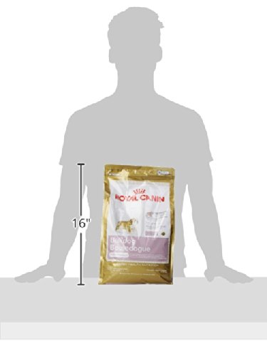 Royal Canin Bulldog Puppy Dry Dog Food, 6 lb bag