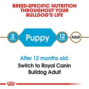 Royal Canin Bulldog Puppy Dry Dog Food, 6 lb bag