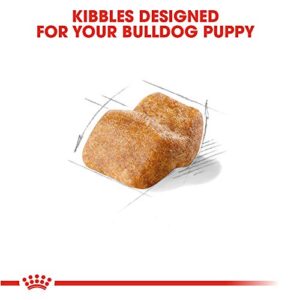 Royal Canin Bulldog Puppy Dry Dog Food, 6 lb bag