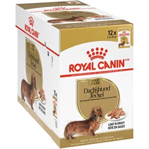 royal canin breed health nutrition dachshund loaf in gravy pouch dog food, 3 oz pouch (pack of 12), 723085